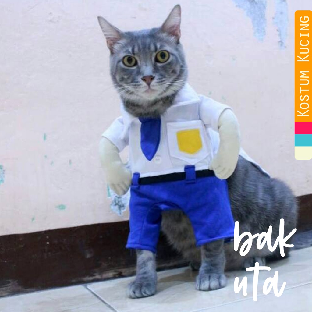 Kostum anak SMP lucu untuk kucing dan anjing / baju kucing murah size S M L XL