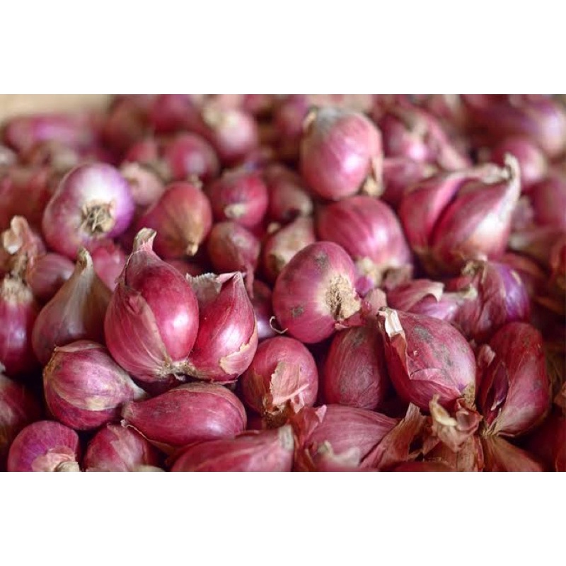 

Bawang Merah Murah 100gr 250gr 500gr