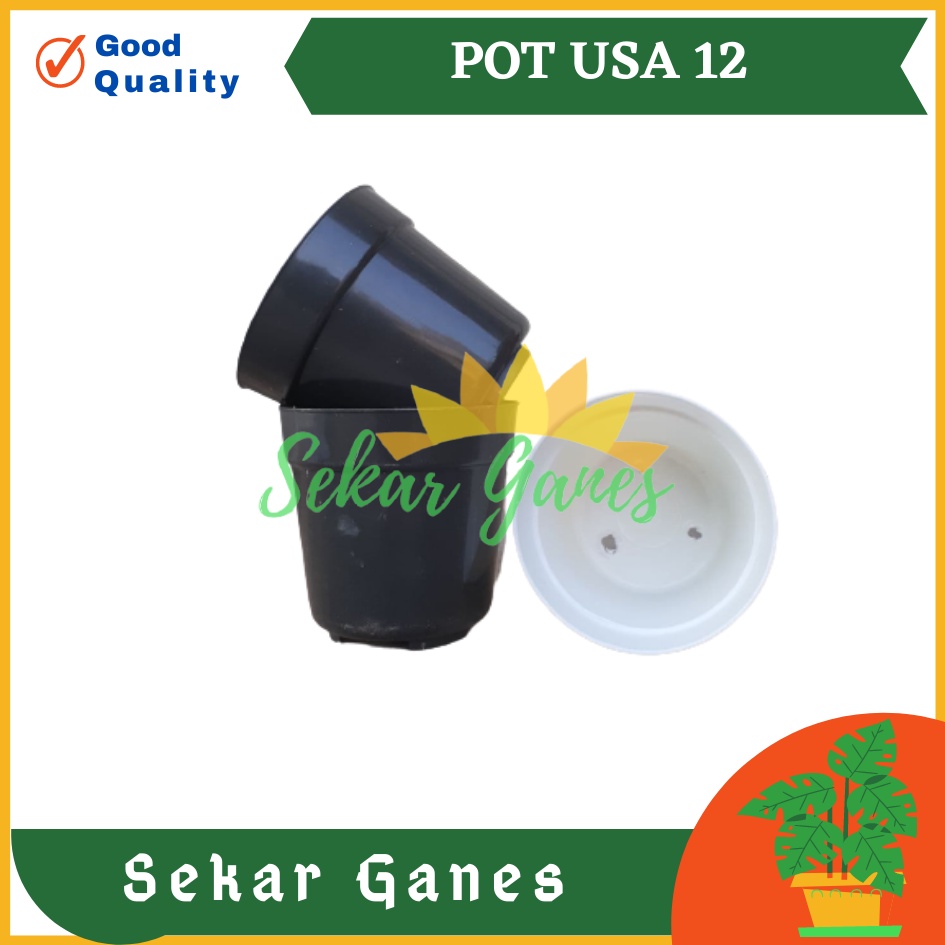 Pot Usa Eiffel 12 Putih Hitam Pot Plastik Mini Kaktus Murah Lucu - Pot 12 Cm Putih Hitam Tinggi - Pot Eiffel Eifel Efiel Effiel Tinggi 12