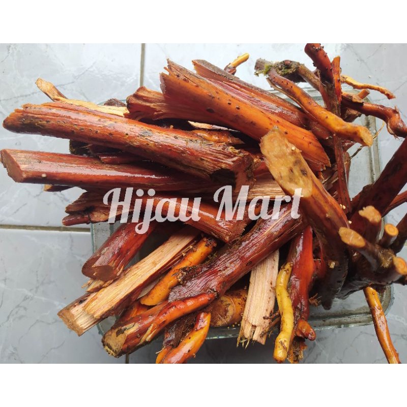 

tanaman herbal akar jambe/akar pohon pinang basah 1kg