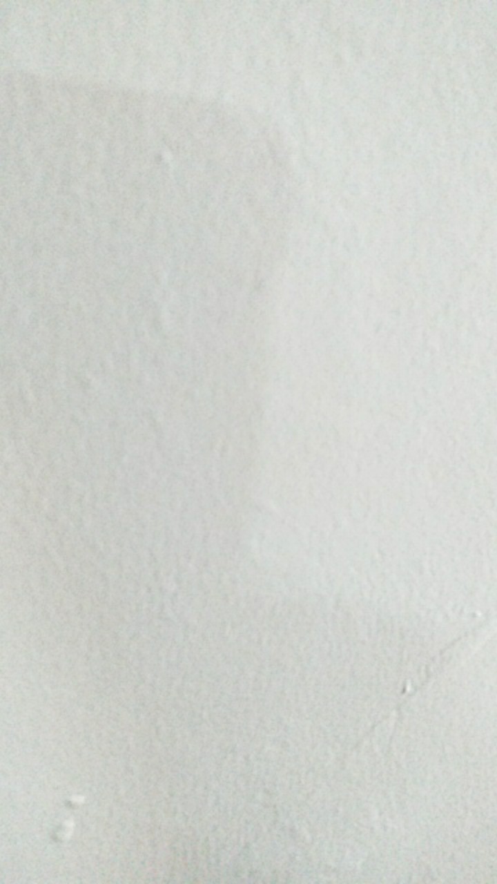 Rajakarta Payung Standar Tongkat Motif Boneka Cute Mix 005gg