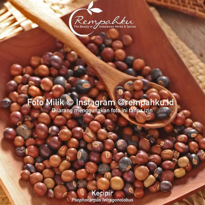 

(Jual!!) ramuan rempah - Biji KECIPIR 1kg Biji Bohor Cicipir Jaat Bumbu Rempah Jamu