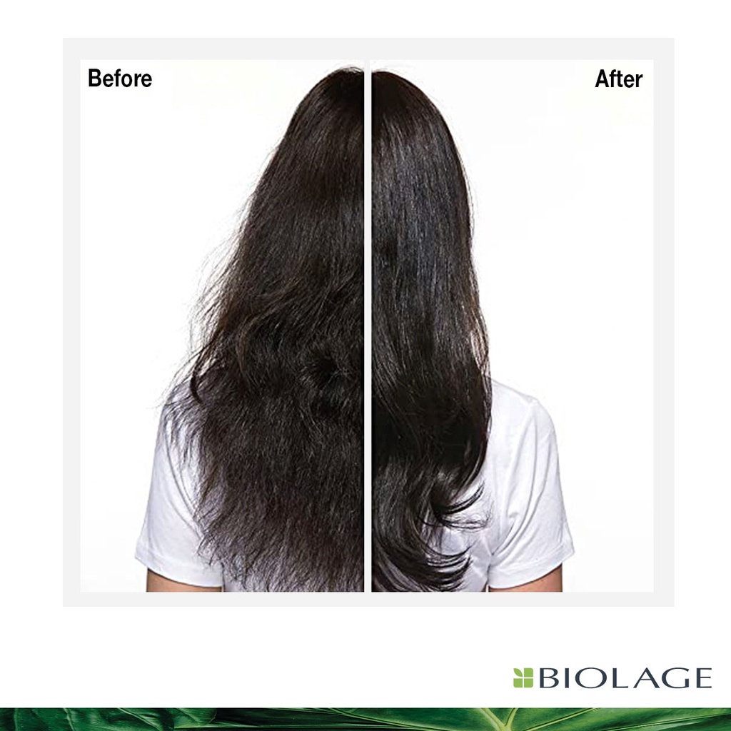 Matrix Biolage Fiberstrong Shampoo 200 ml - Shampoo Rambut Rusak dan Rontok-2