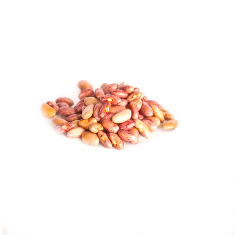 

Kacang Merah Segar 1 Bungkus By Sembakoe