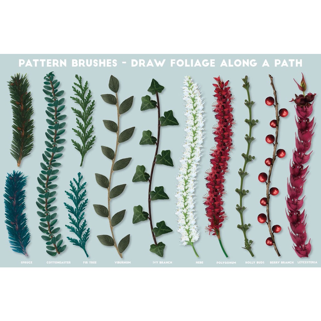 The Vector Florist Brushes Winter