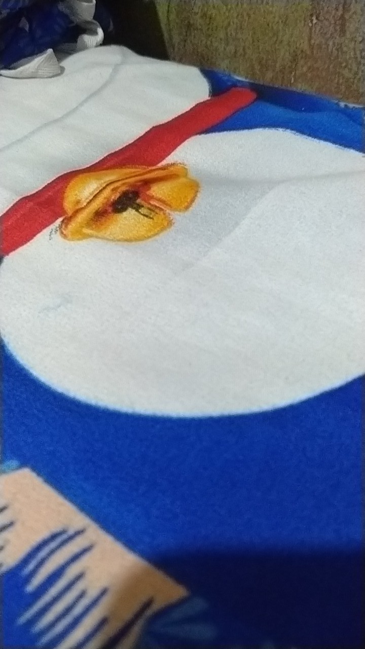 Lap Dapur Kotak - Besar Uk 55 X 55 Cm -murah Berguna