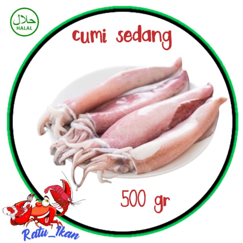 

cumi sedang [500gram] ratu ikan