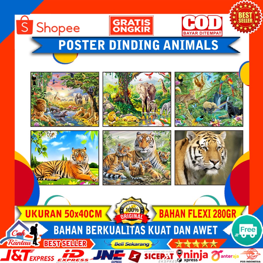 Jual Poster Wall Dinding Dekorasi Rumah Gambar Animals Binatang Flora