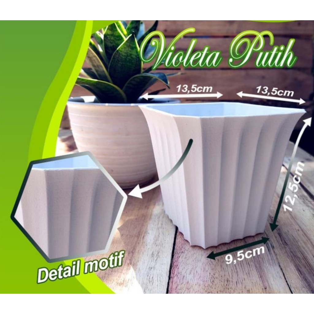 Pot tawon Segi Tanaman Bunga Violeta 13,5cm vas plastik Hias kaktus anggrek net pot netpot hidroponi