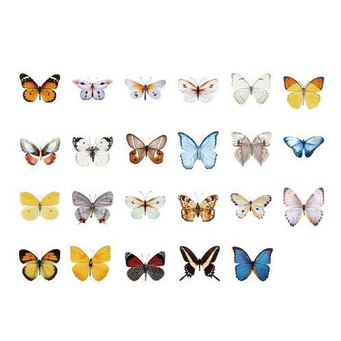 Label Stickers - 23 Butterfly Pattern (45pcs)