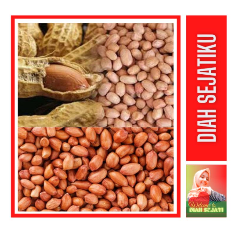 

Kacang Tanah Mentah 500gram