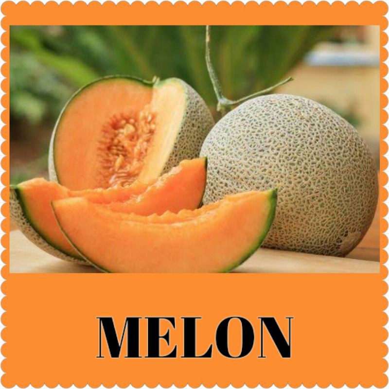 benih buah melon unggul/bibit buah melon unggul