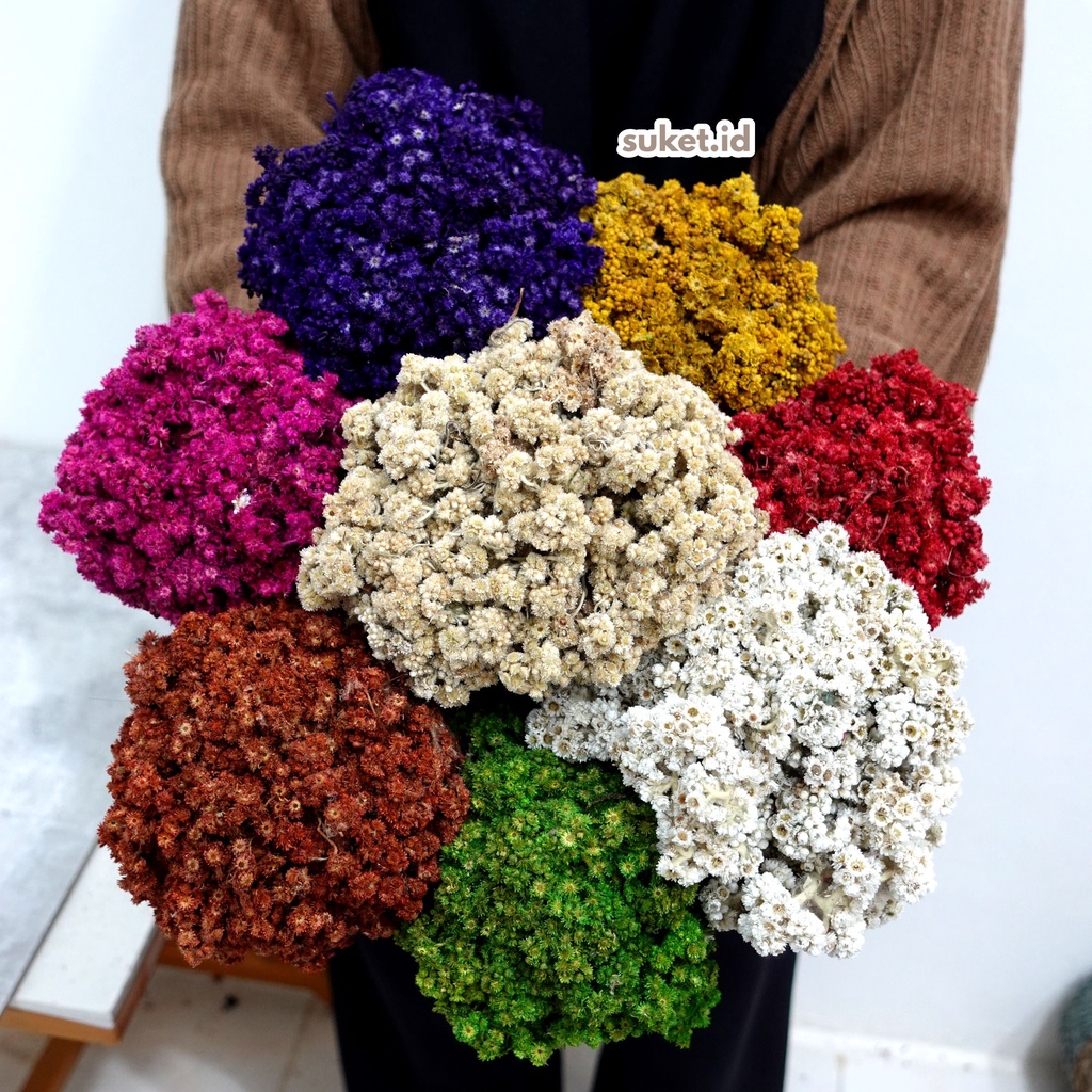 Bunga Kering Abadi / bunga edelweis (kecil)