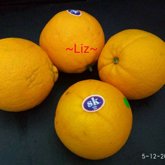 

Sunkist Navel late Lane