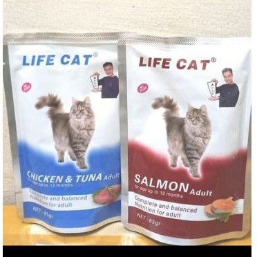 life cat sachet salmon adult 85 gram- life cat sachet adult