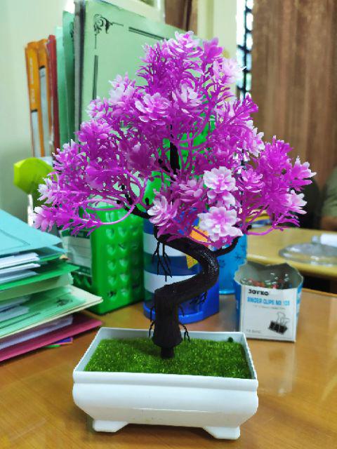 [1kg 11pcs] Pot Tanaman Vas Bunga Varian Pt01-pt04 Dekorasi Rumah Tanaman Plastik Hias Import