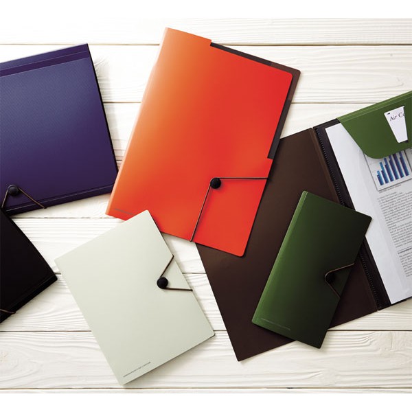 

Lihitlab Carrying document A- 7589