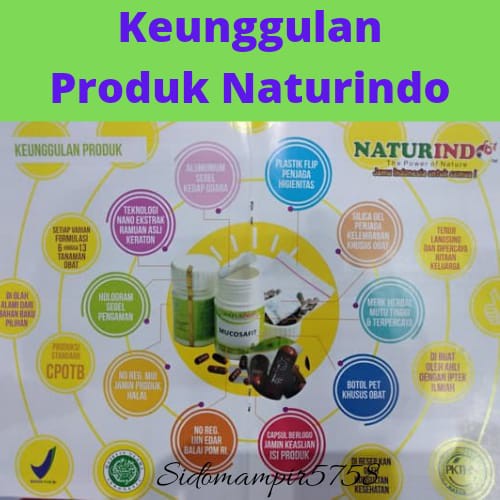 Carsifit Naturindo Obat Herbal Stroke Ringan Obat Stroke Ampuh Struk Obat Stroke Obat Struk Ampuh-2
