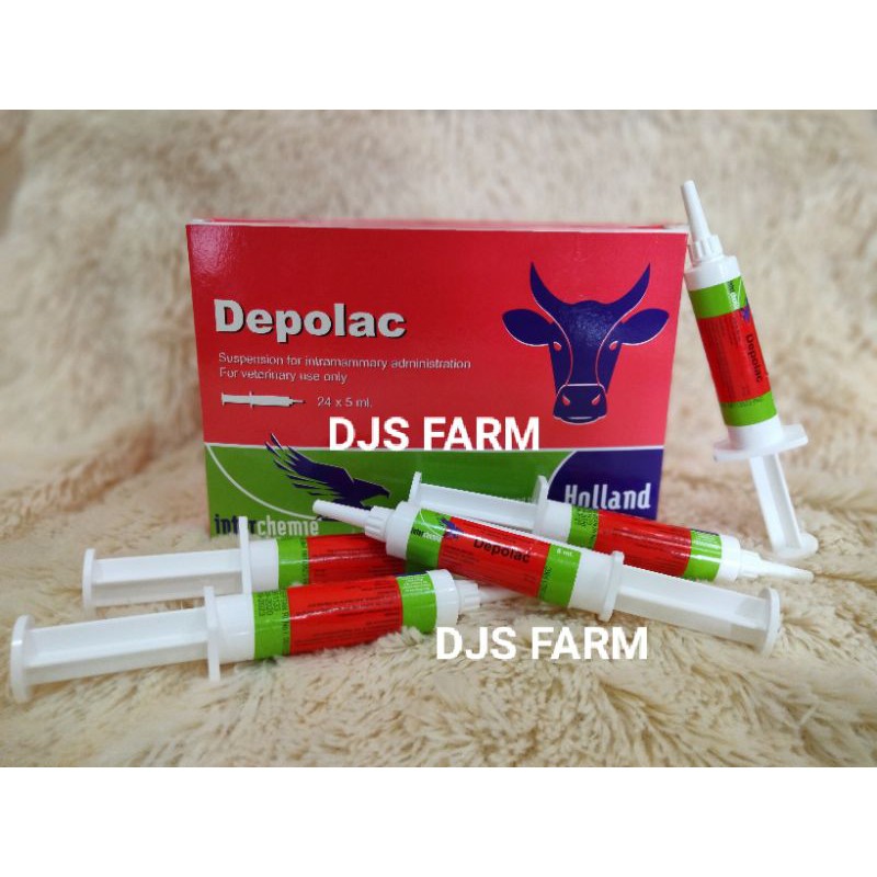 Depolac Srynge 5 ml Holland Obat Mastitis Hewan