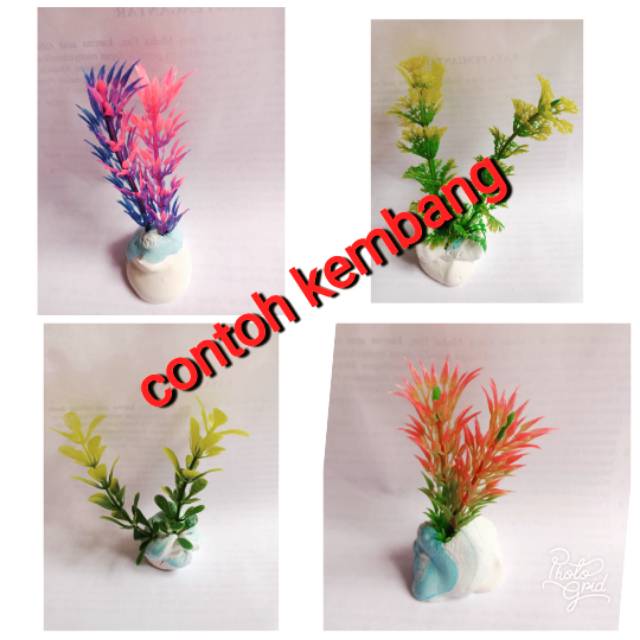 Kembang aqaurium kecil Cantik