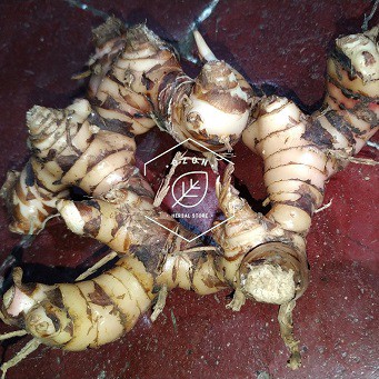 

Lengkuas Laos Laja galangal segar bumbu rempah 100gr