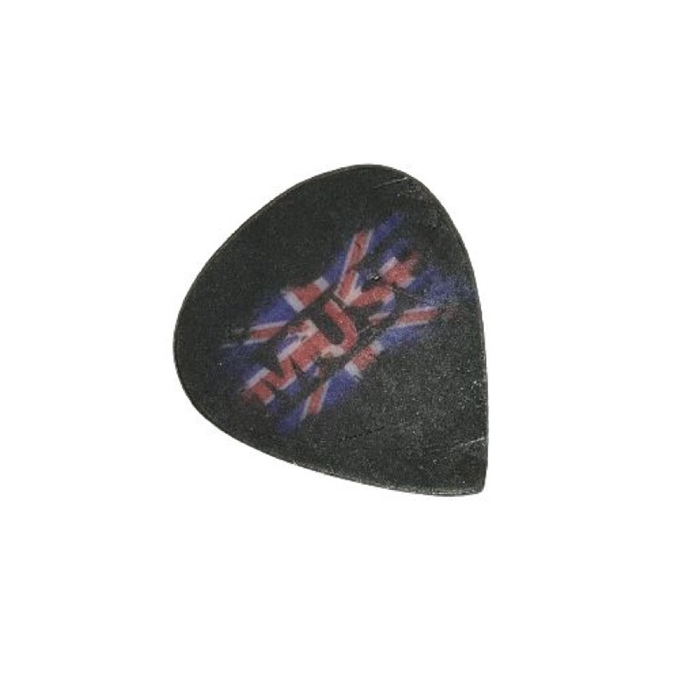 PICK GITAR MUSE BAND