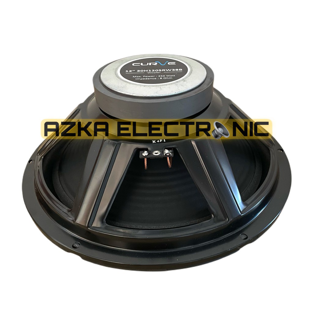 Speaker Curve 12 Inch Woofer