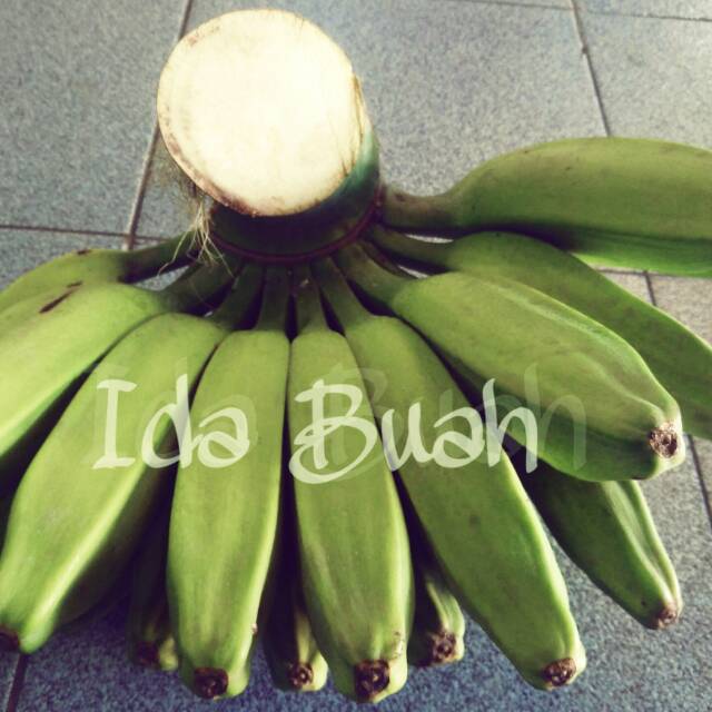 

PISANG KEPOK