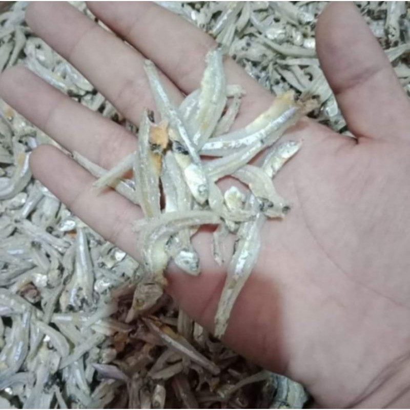 

IKAN TERI KALIMANTAN KUALITAS PILIHAN