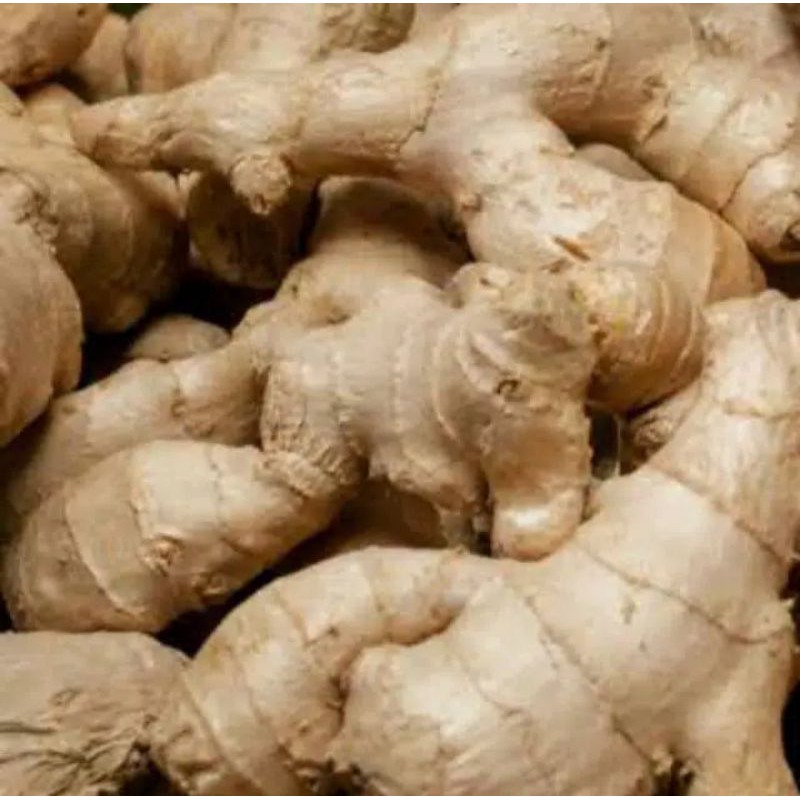 

jahe Jawa 250 gr