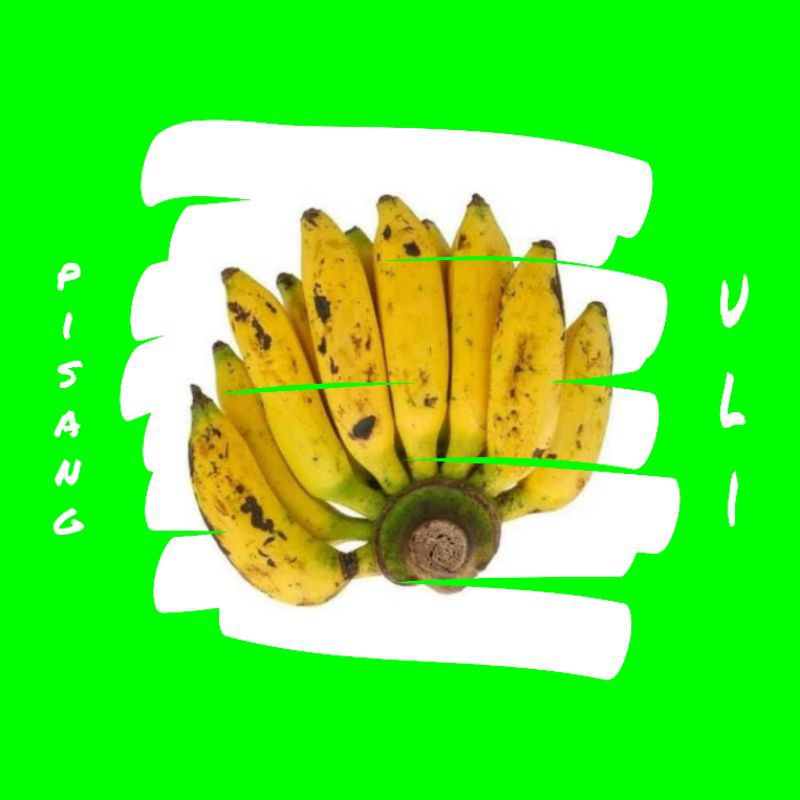 

pisang uli segar persisir