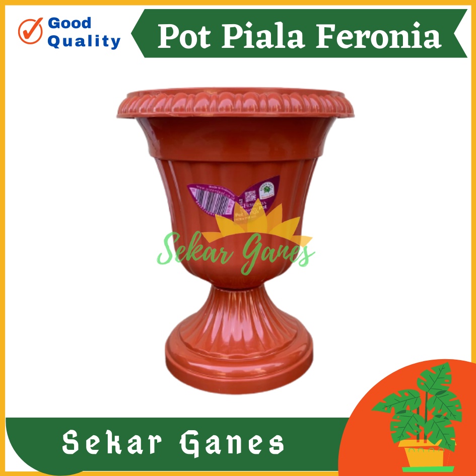 Pot Piala Green Leaf Feronia 6152 Merah Bata Terracota Merah Coklat Pot Piala Tinggi Putih Plastik hitam pendek 50 - Pot bunga tanaman piala feronia putih 18cm - PIALA MINI 6152