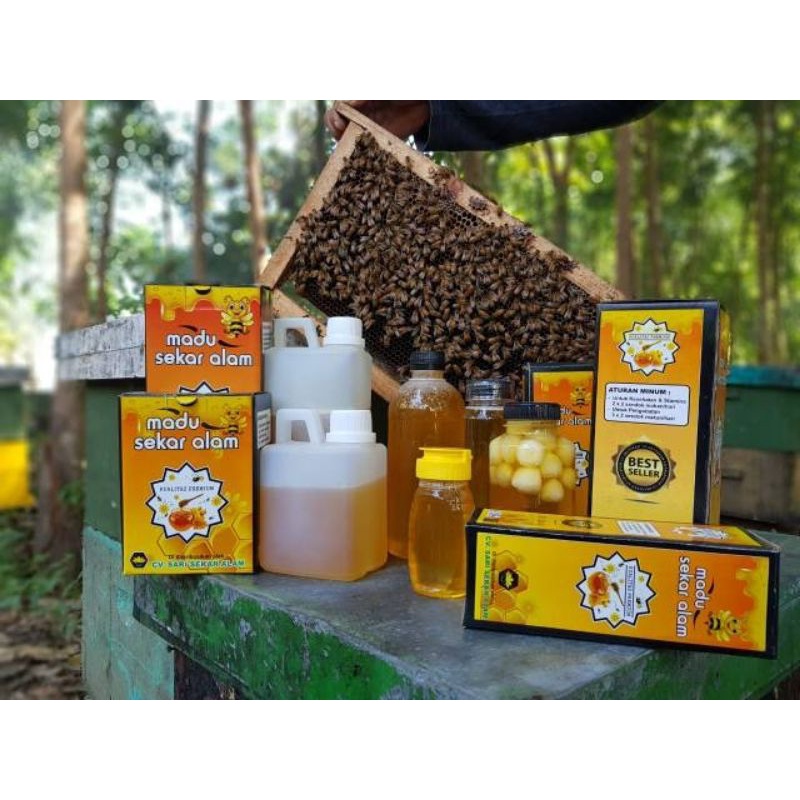 

PROMO 1 Kg Madu Peras Murni Asli Melifera ( Raw Honey ) free dus box dan Sendok