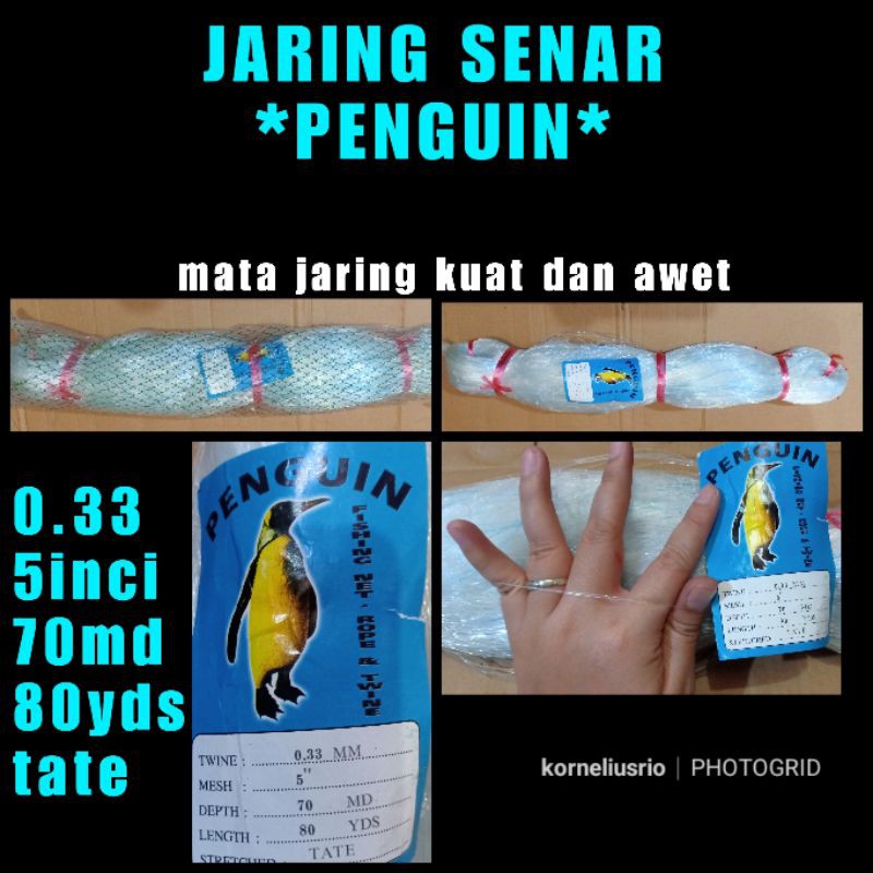 (MATA MALANG) JARING SENAR PENGUIN YOKO JARING JALA FISHING NET JARING PUKAT IKAN PUKAT BAGUS
