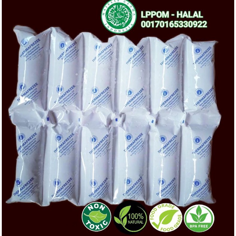 Thermafreeze BEST BRAND ORI &amp; BEST QUALITY AWARD 2022  ice gel DAPAT 12 pack dry ice pack