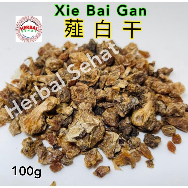 

100 gram - Xie Bai Gan Kou Bai Gan - Longstamen Union Bulb - Bulbus Allii Macrostemi