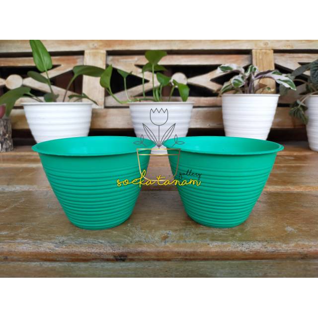 Pot Madu 01/ pot 01 madu / pot tanaman / pot sekulen /pot sekulen mini