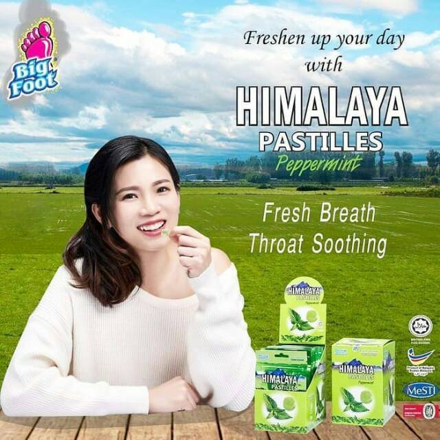 

Himalaya Pastilles