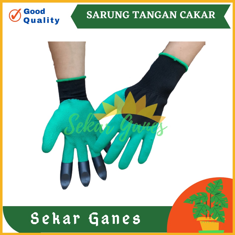 Sekarganes Sarung Tangan Berkebun Cakar Safety Glove Latex Sarung Tangan Cakar Gali Tanah Berkebun Taman Claw Garden Gloves Garden Genie Box Sarung Tangan Bekebun Tebal Hitam Anti Air Anti Duri