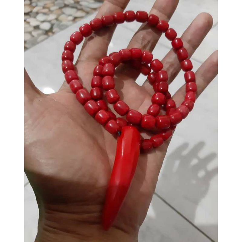 tasbih kalung  batu marjan asli kepala taring