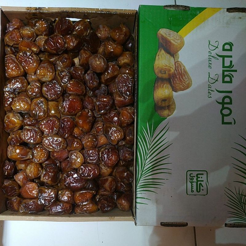 

kurma sukari alqasim