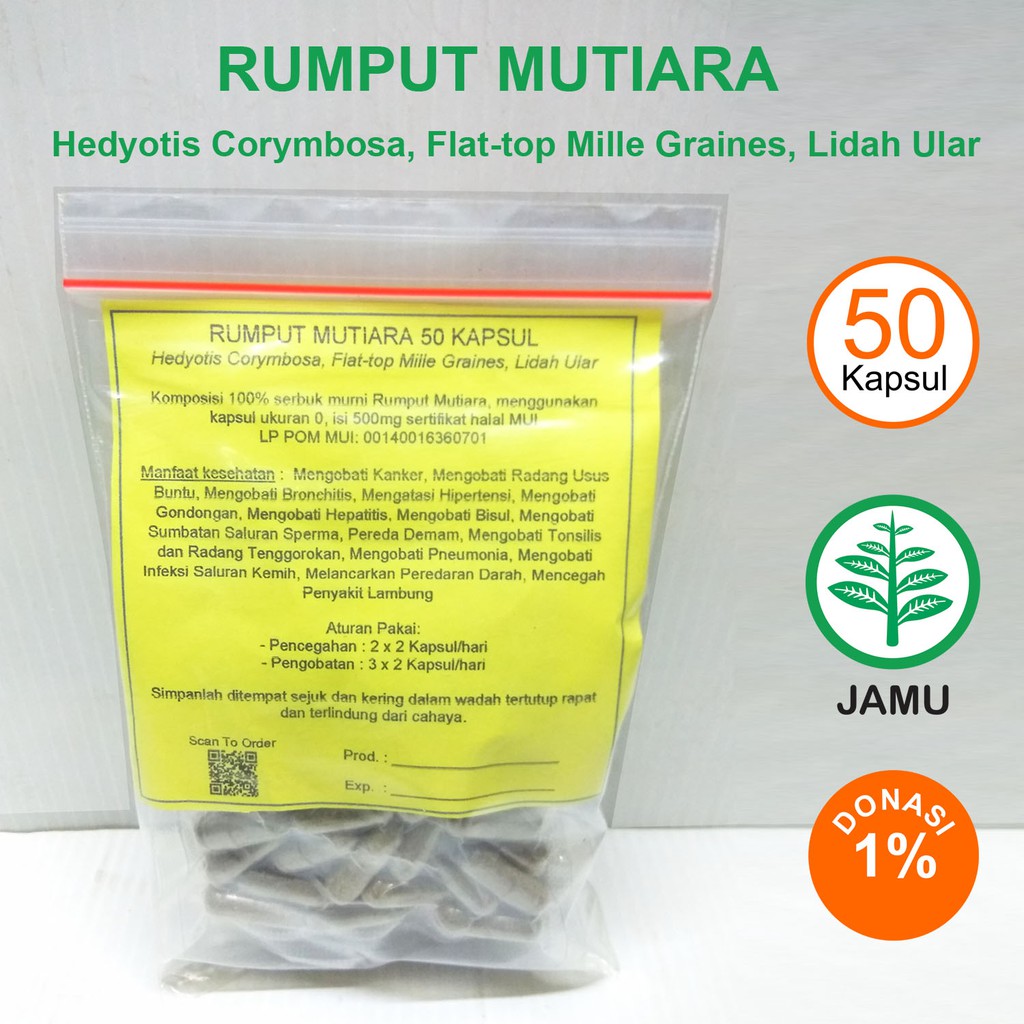 

RUMPUT MUTIARA 50 KAPSUL Kanker Radang Usus Buntu Bronkitis Hipertensi Gondongan