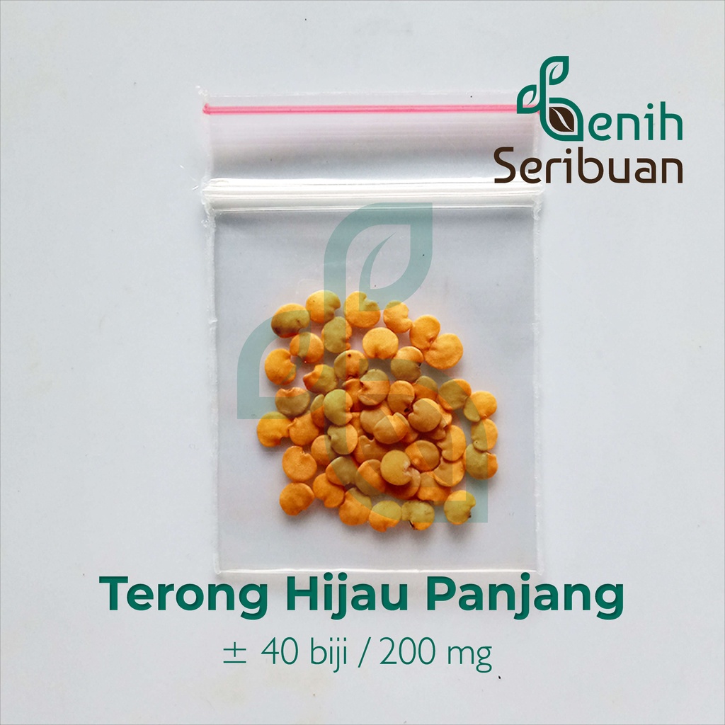 40 Benih Terong Hijau Panjang F1 Unggul Berkualitas - Bibit Tanaman Sayur Sayuran Seribuan-3