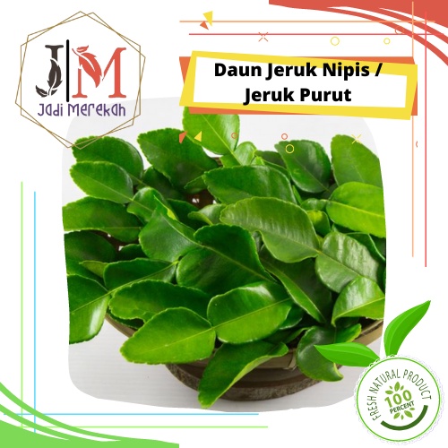 

[JM SoFresh] - Daun Jeruk Purut 10 Lembar