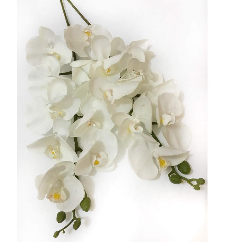 #COD#  Anggrek Bulan Latex / Anggrek Artificial Putih / Bunga Anggrek