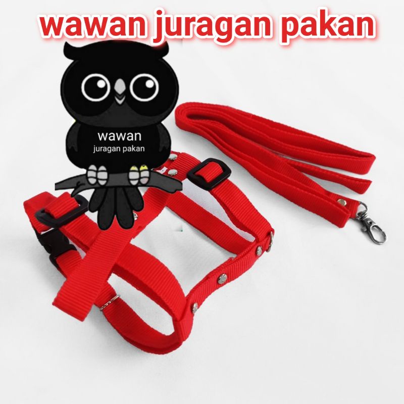 TALI TUNTUN KUCING, HARNESS