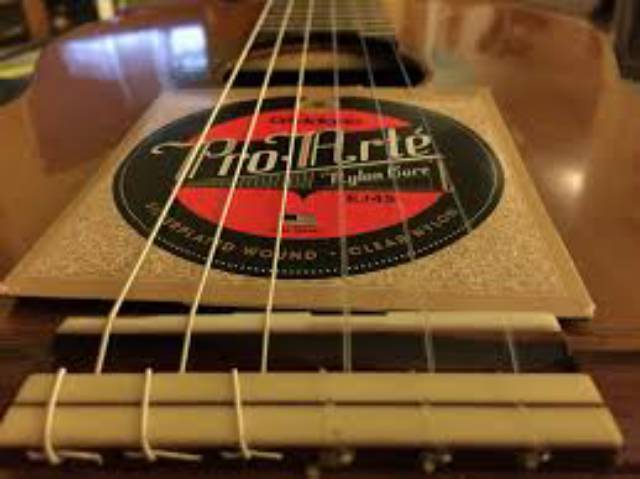Senar nylon D'addario