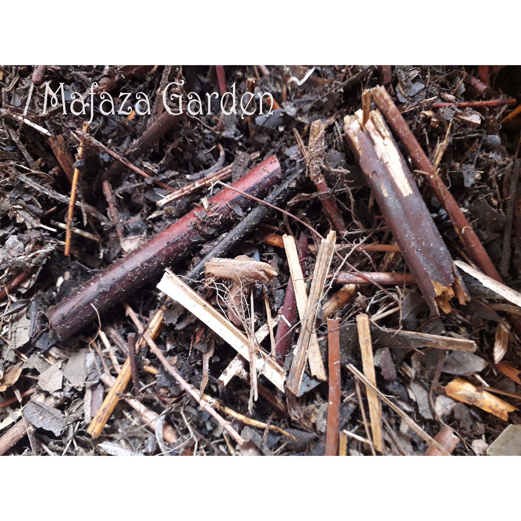 MEDIA TANAM HUMUS ANDAM 500 gram