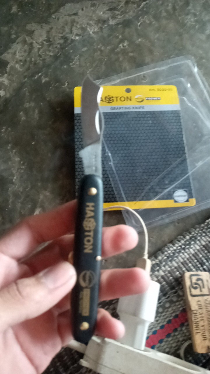 Pisau Lipat Knife Grafting Cangkok Okulasi Bonsai Stek Dll