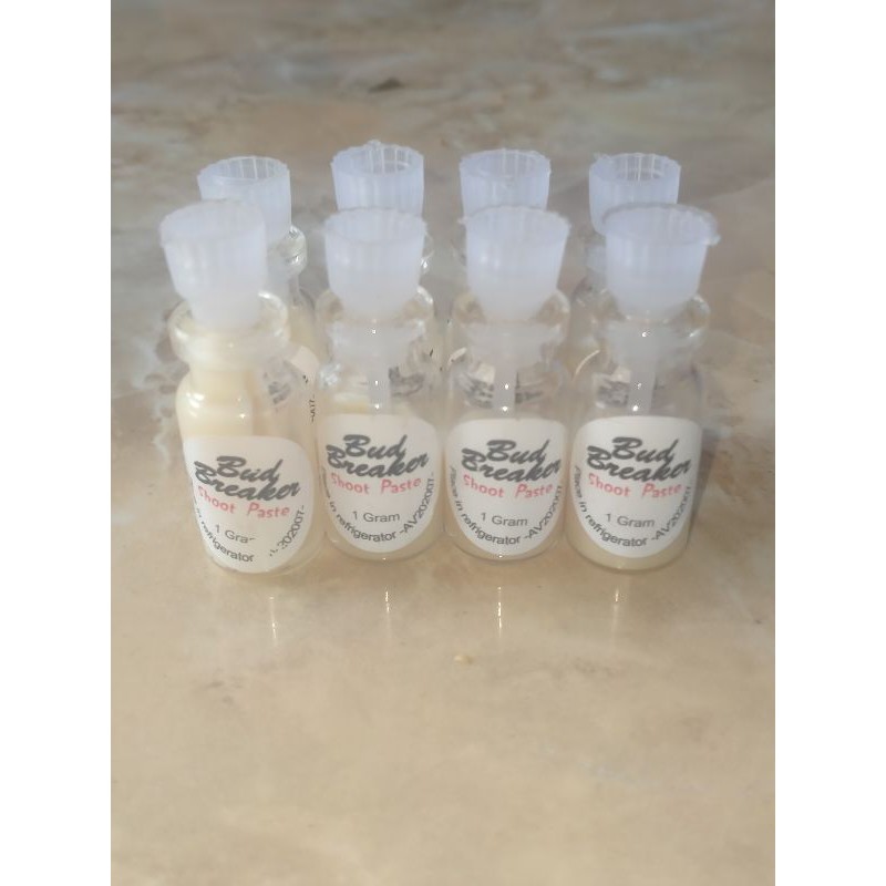 SALEP SALEP nutrisi penumbuh tunas keiki SALEP anggrek segala tanaman bud breaker